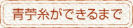 青苧（あおそ）糸ができるまで